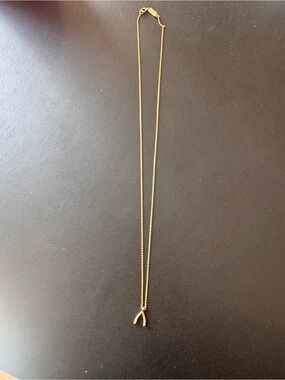 Jennifer Meyer 14k Mini Wishbone Necklace